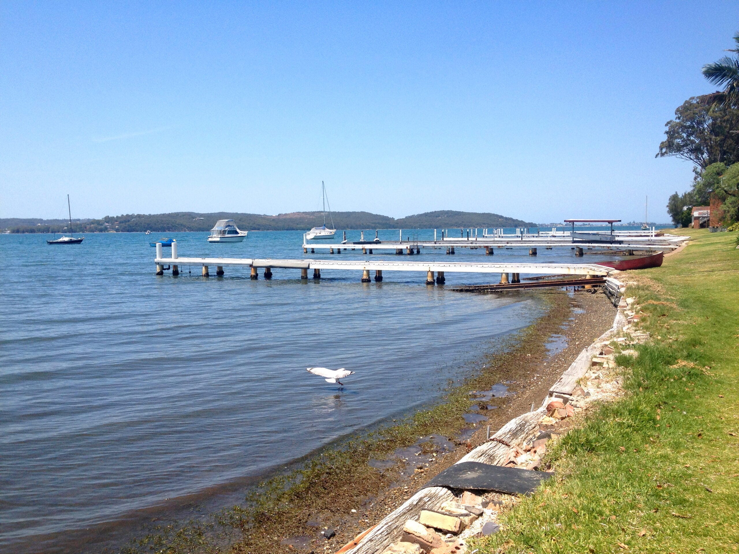 A sunny day at a bay with white wooden piers extending into the blue water