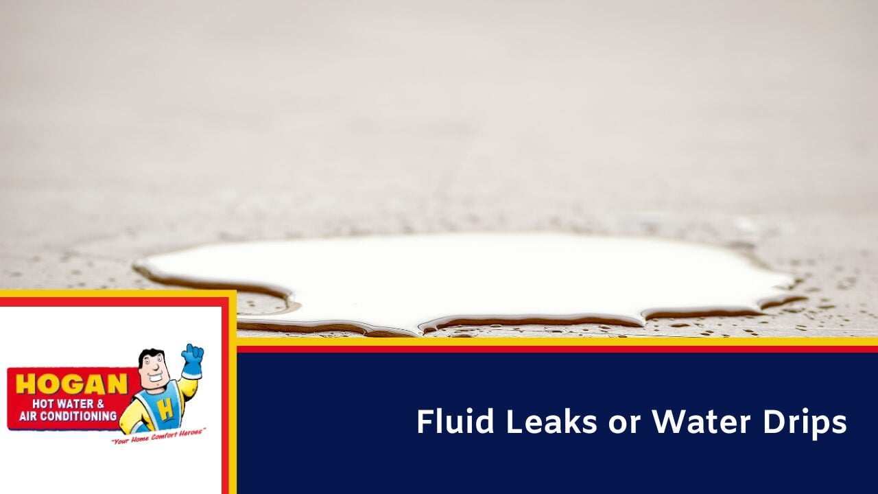Fluid Leaks or Water Drips