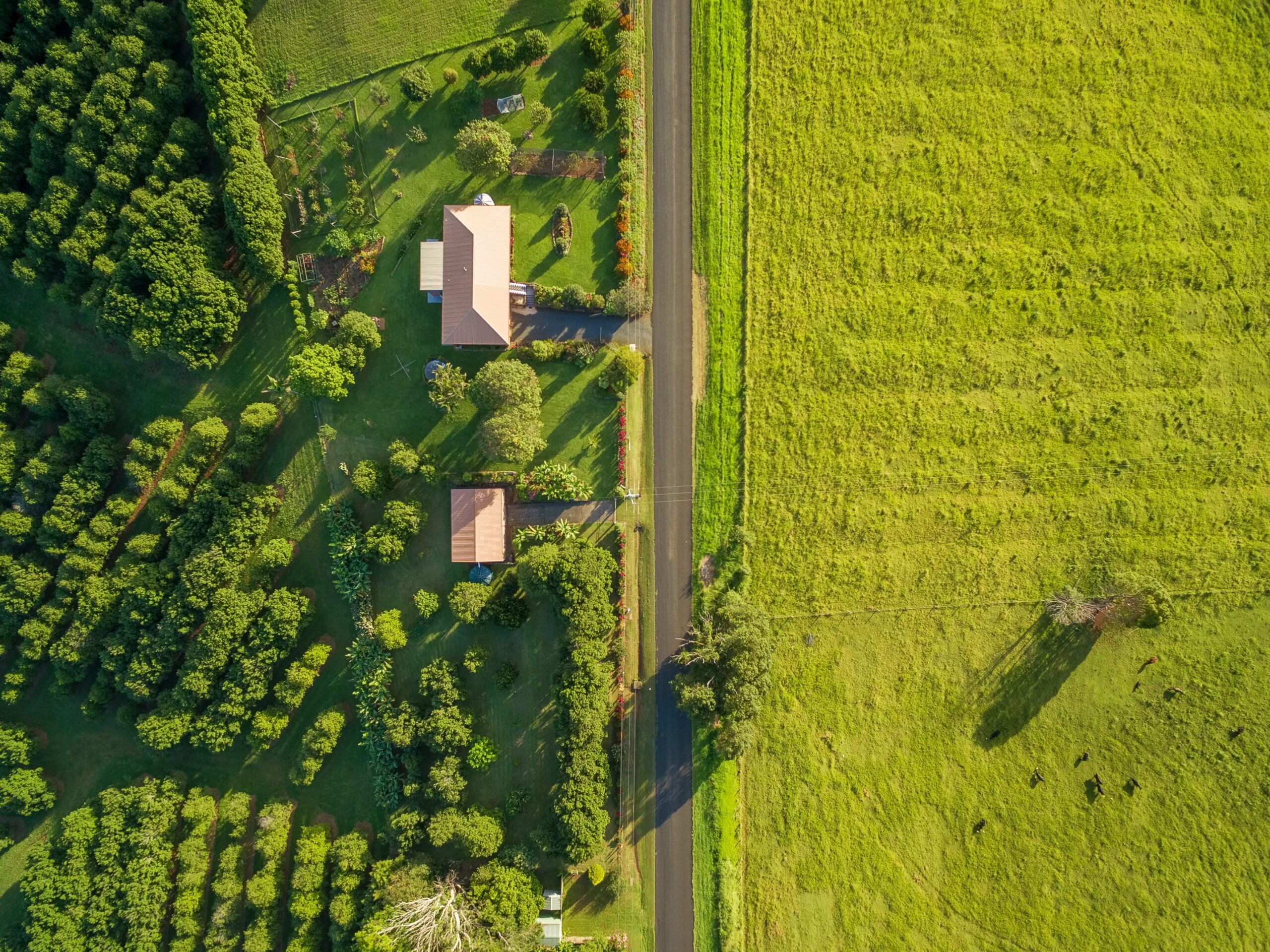 A bird's-eye aerial view of a rural landscape in Doyalson
