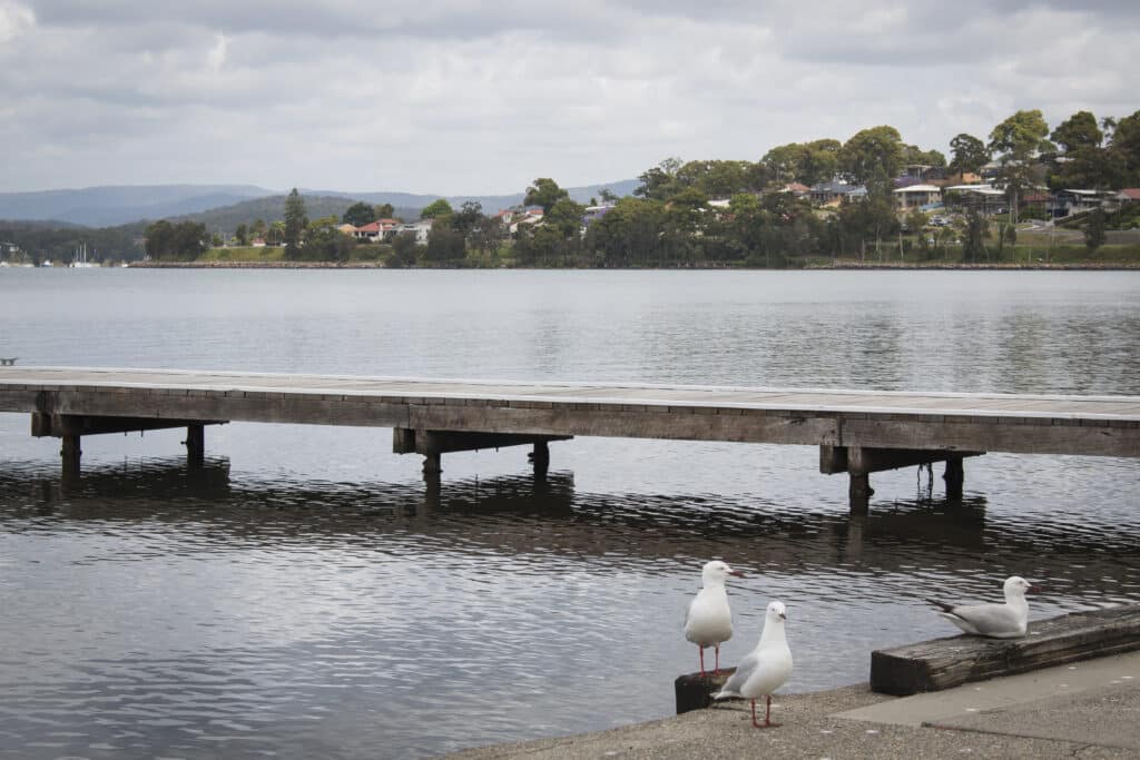 A horizontal view of a wooden pier stretching across a calm lake of Speers Point