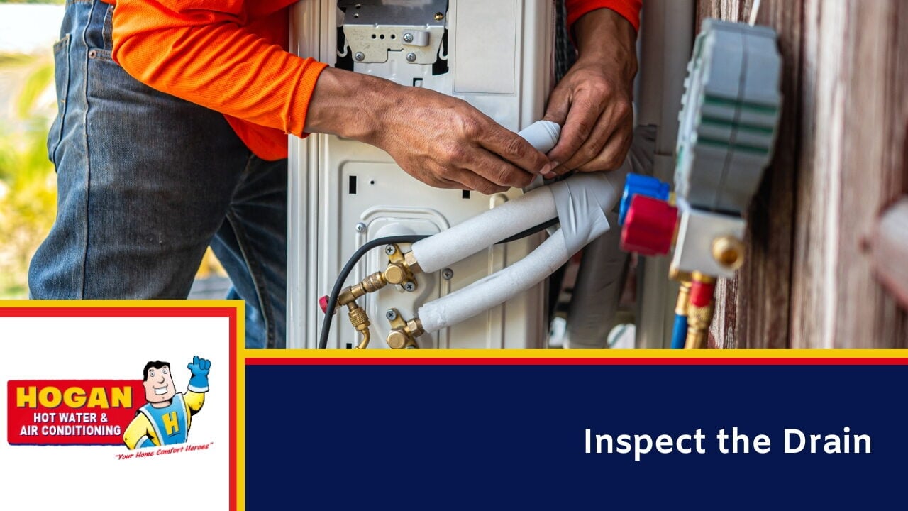 Inspect the Drain
