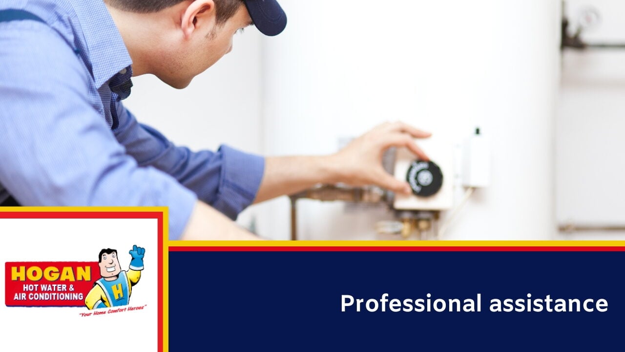 Professional assistance