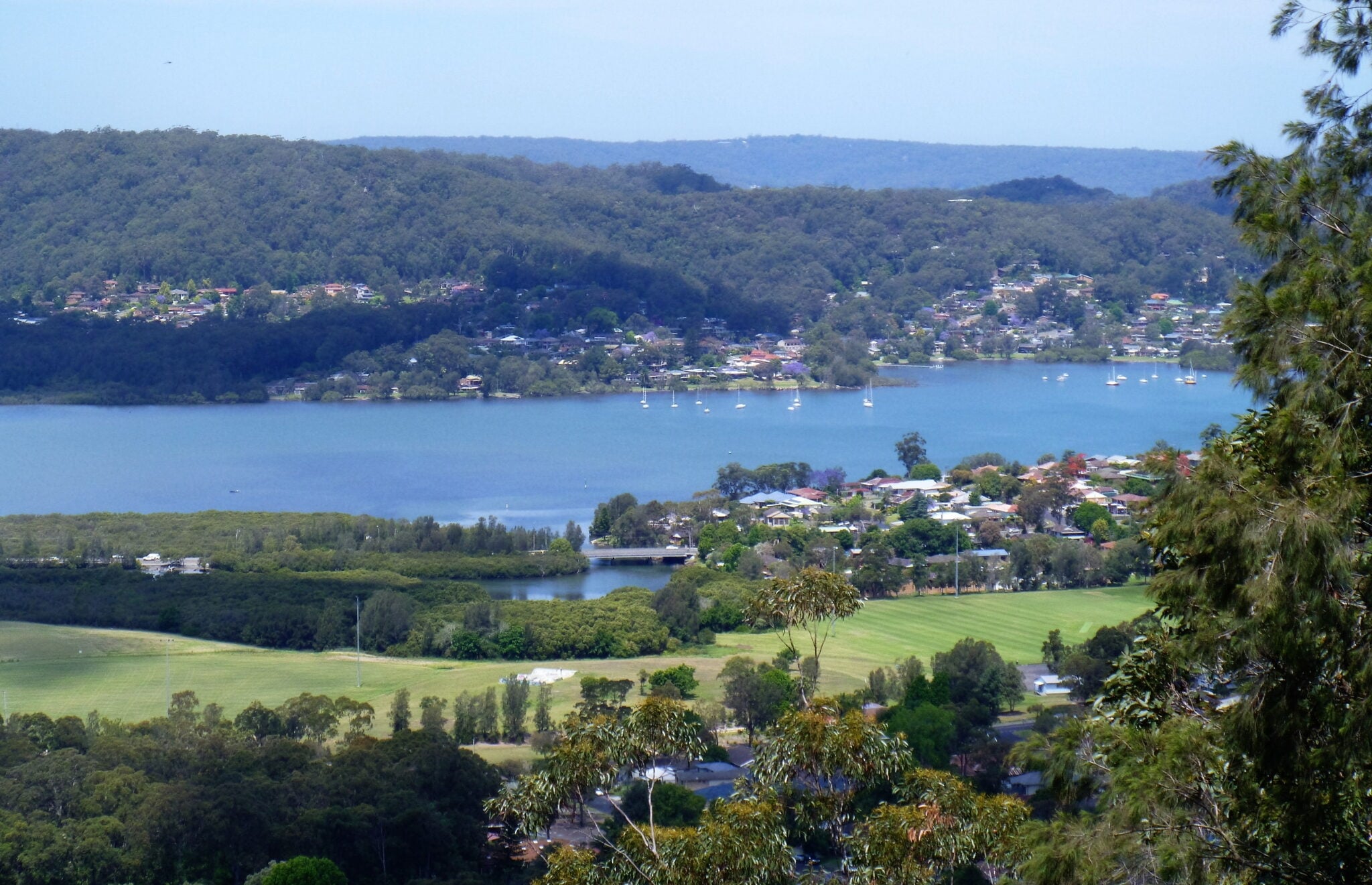 A coastal town in Australia featuring a calm blue lake or bay dotted with white sailboats