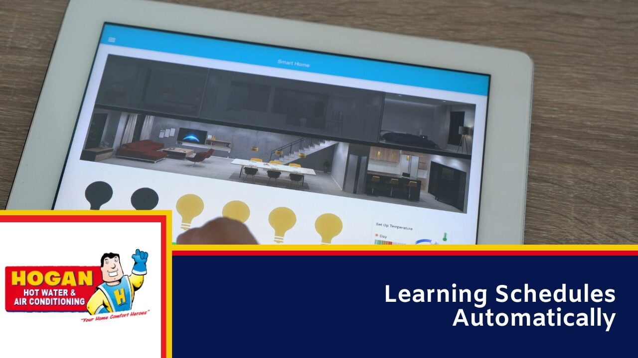 Learning Schedules Automatically