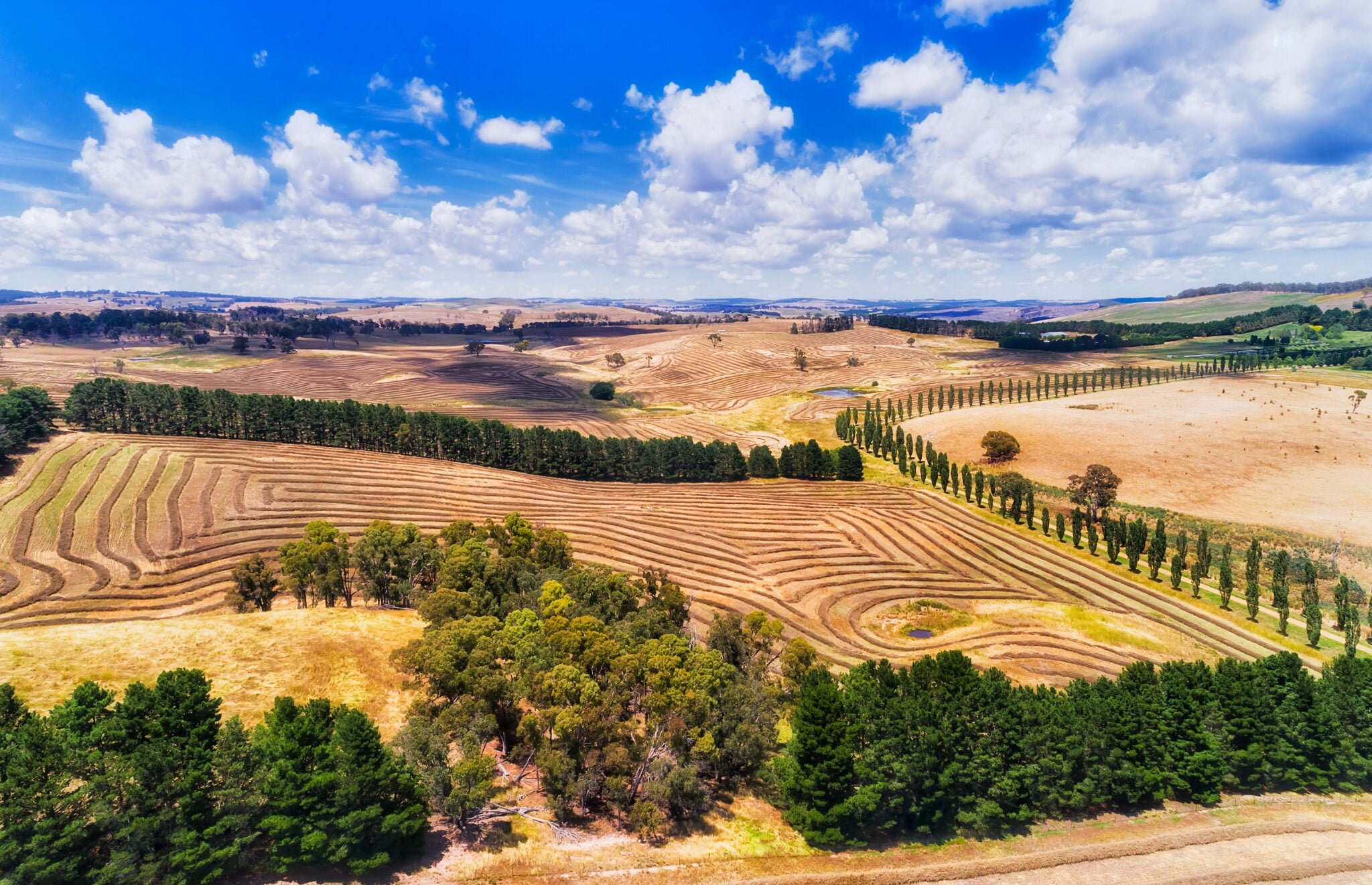 An expansive, golden-brown farmland with distinct contour-plowed patterns, bordered by lines of green trees.