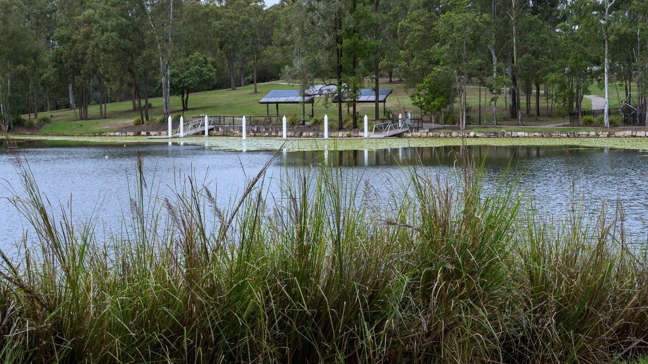A scenic view across a calm lake with tall grass reeds in the foreground.