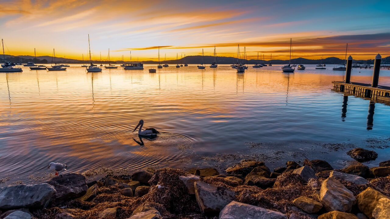 A calm bay at sunset with numerous anchored sailboats in Tascott.