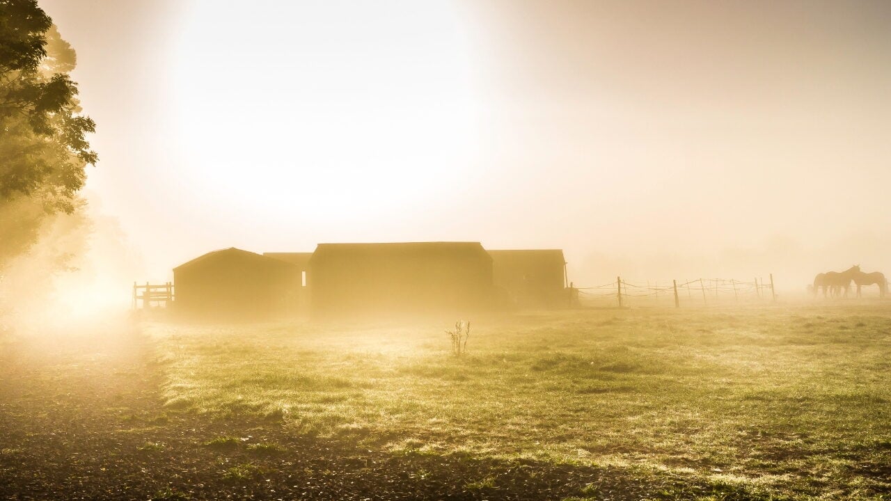 A grassy field and farm buildings enveloped in heavy morning fog in Somersby.
