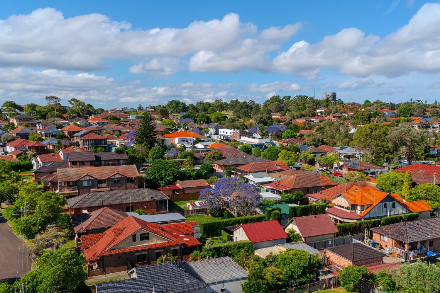 A suburban neighborhood featuring houses with tiled roofs, green trees, blooming purple jacaranda trees, and a blue sky with white clouds.