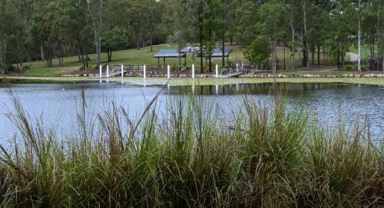 A scenic view across a calm lake with tall grass reeds in the foreground.