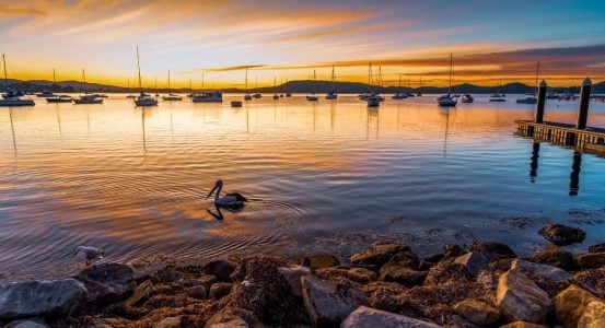 A calm bay at sunset with numerous anchored sailboats in Tascott.