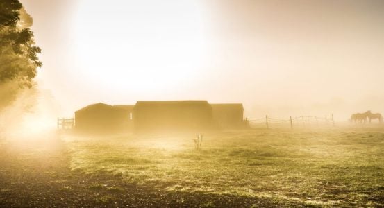 Hot Water Installation and Maintenance in Somersby A grassy field and farm buildings enveloped in heavy morning fog in Somersby.